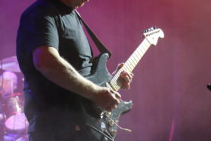 IMG_9009 IMG_9009
